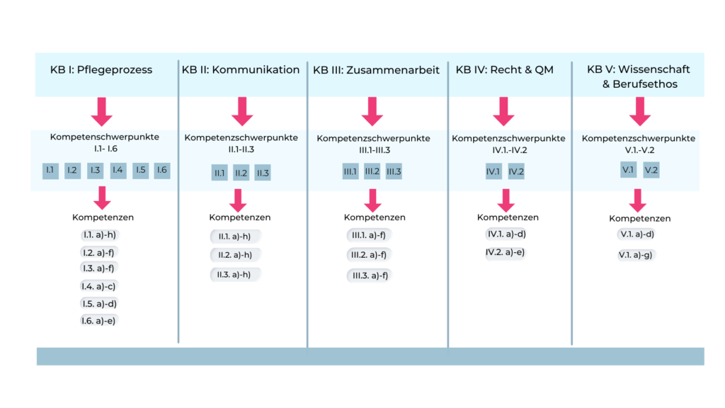 Kompetenzbereiche, Kompetenzschwerpunkte und Kompetenzen